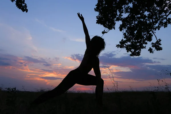 Slim meisje tonen verschillende poses en dansen in veld buiten op — Stockfoto