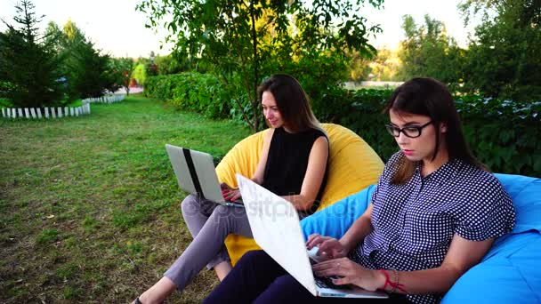 Mujeres contadoras jóvenes hermosas e inteligentes trabajan para el ordenador portátil y mantienen registros contables e fiscales sentados en sillones suaves al aire libre en el parque durante el día . — Vídeo de stock