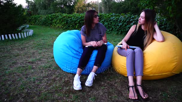 Dua Pretty Female Classmates Are Discussing Joint Course Project For University and using Laptop Sitting in Armchairs Outdoors During Day . — Stok Video