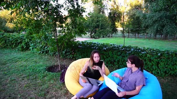 Discordâncias e brigas em discutir momentos de trabalho de duas garotas atraentes trabalham com laptops e se sentam em poltronas ao ar livre durante o dia no parque . — Vídeo de Stock