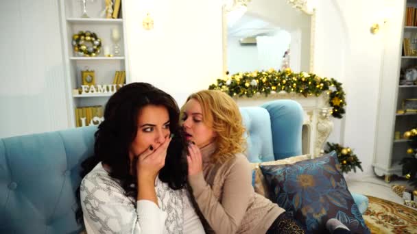Portrait of beautiful girlfriends who discuss gossip and sit on couch in bright living room with festive fireplace decorated with festive Christmas tree and high Christmas tree. — Stock Video