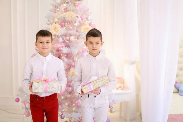 Retrato de chicos gemelos lindos que sonríen y posan de pie en deco ocioso — Foto de Stock