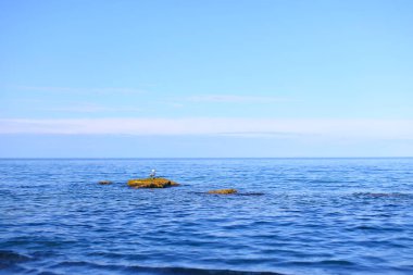 Sonsuz deniz sıcak yazları açık gökyüzü altında muhteşem manzara