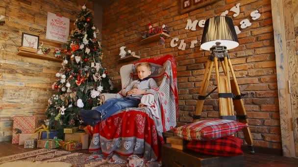 European little boy sits in armchair near Christmas tree. — Stock Video
