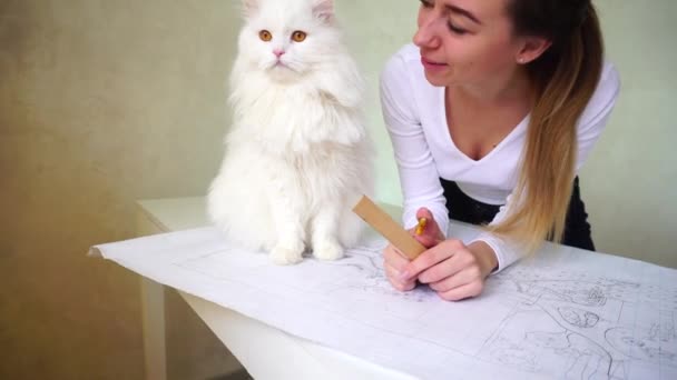 Mulher acariciando grande gato branco, que sentado na mesa . — Vídeo de Stock