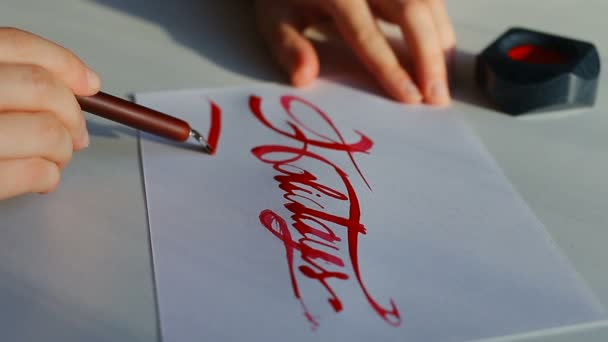Férias inscrições desenhadas com caneta nib . — Vídeo de Stock