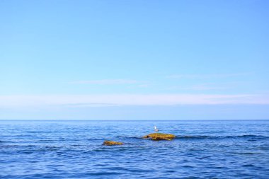 Sonsuz deniz sıcak yazları açık gökyüzü altında muhteşem manzara