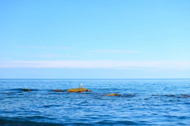 Sonsuz deniz sıcak yazları açık gökyüzü altında muhteşem manzara