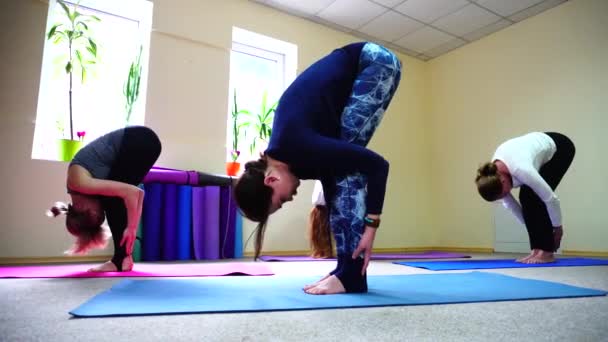 Vackra flickor sträckor ryggmusklerna i yoga positioner — Stockvideo