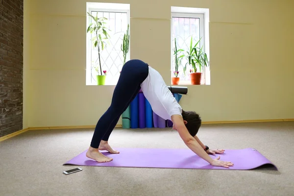 Koyu saçlı güzel genç kadınla yoga egzersizleri gerçekleştirir. — Stok fotoğraf