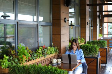 Güzel kız kafede dizüstü bilgisayar tarama.