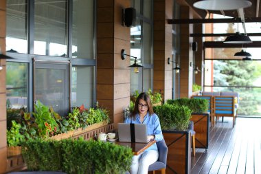 Güzel öğrenci restoranda laptop ile çalışma.