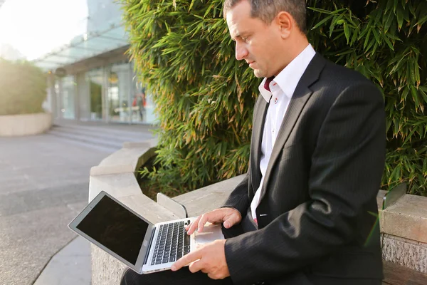 Businessman working with laptop outside near plant in  . Stock Picture