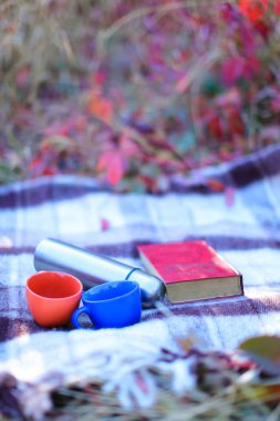 İki kapaklar, termos ve kitap blancet çim üzerinde yalan.