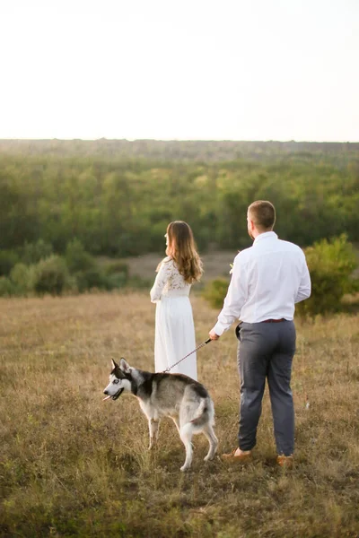 Achteraanzicht van bruidegom en bruid wandelen in steppe met hond husky. — Stockfoto