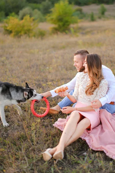 Jong gelukkig meisje en jongen zitten op gras en spelen met husky. — Stockfoto