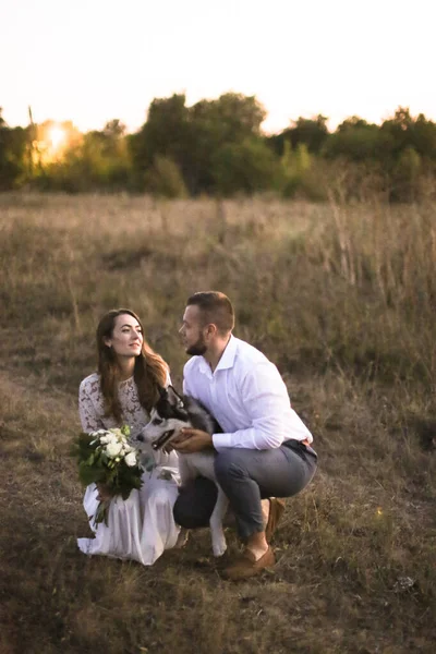 Bride and happy groom sitting on grass with husky in field. — Stock Photo, Image