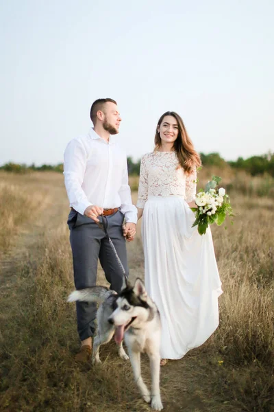 Γαμπρός περπάτημα με όμορφη νύφη και husky στη στέπα, κρατώντας τα χέρια. — Φωτογραφία Αρχείου