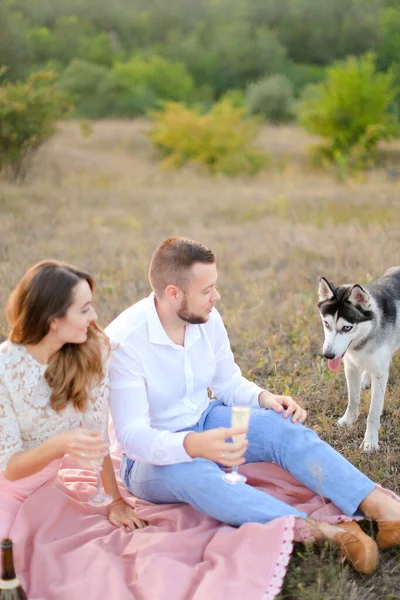 Young man and woman sitting on pink plaid with glasses near husky. — Stock Photo, Image