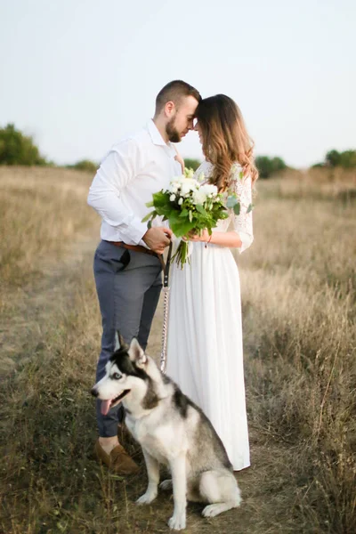 Bruidegom knuffelen bruid met boeket van bloemen in de buurt husky in steppe achtergrond. — Stockfoto