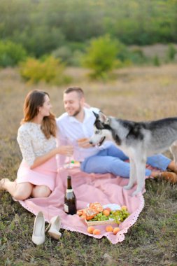 Genç mutlu çift, malamute yakınlarında pembe ekose üzerinde şarap içiyor..