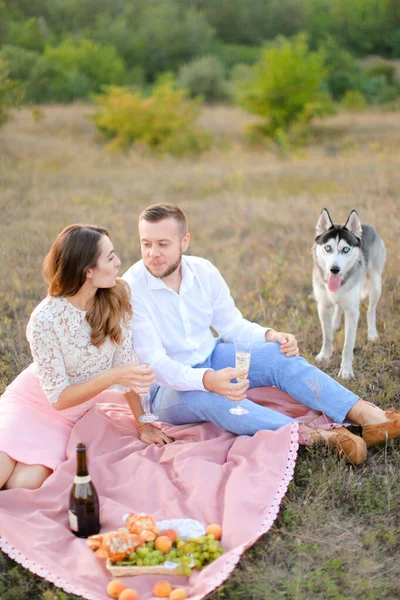 Young caucasian man and woman sitting on pink plaid with glasses near husky and fruits. — Stock Photo, Image