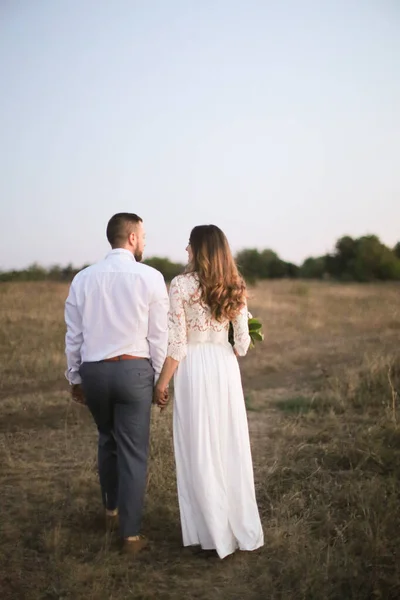 Bride and groom walking in field and holding hands. — Stock Photo, Image