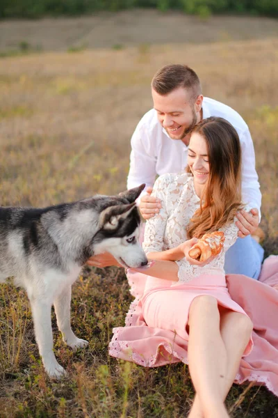 Young smiling girl and boy sitting on grass and feeding husky. — Stock Photo, Image