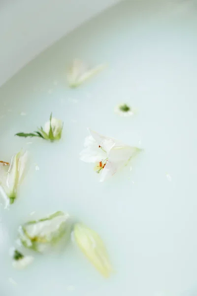 Fiori bianchi nel bagno di latte . — Foto Stock