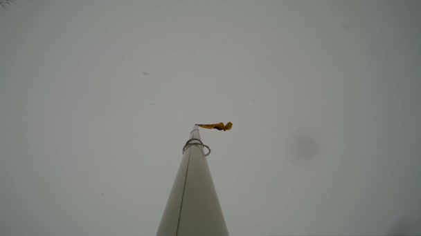 Bandera de Ucrania ondeando en un viento en un cielo de invierno — Vídeos de Stock