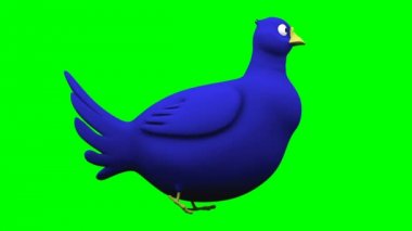 Farklı görünümler döngü animasyon chroma anahtar yeşil ekran üzerinde yürüyen mavi kuş