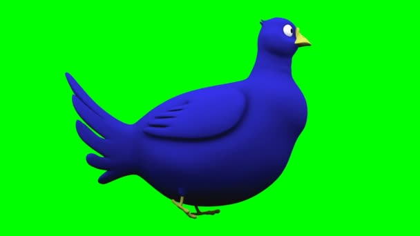 Caminhando pássaro azul em diferentes visualizações loop animação na tela verde chave chroma — Vídeo de Stock