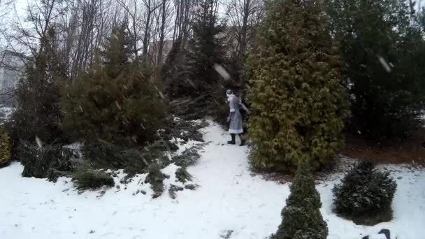 Sneeuw Maiden in bos wandelen naar beneden de heuvel glimlachend Oekraïne — Stockvideo