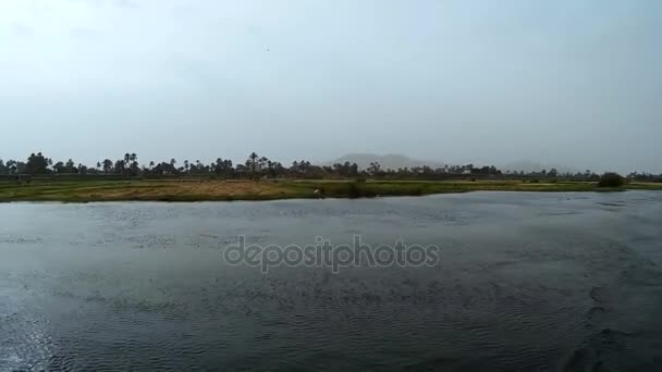 View of the banks of the Nile Luxor farm back view — Stock Video