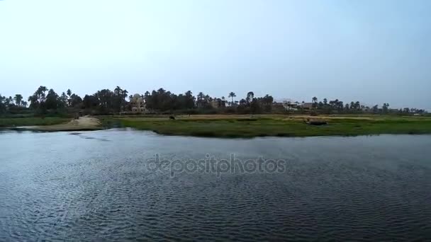 Vue sur les rives du Nil Maisons Luxor — Video