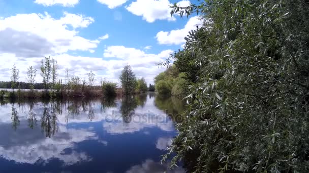 Piękne jezioro krajobraz z lasu na Bank odbicia w wodzie stojącej, Ruzhicna, Chmielnicki, Ukraina — Wideo stockowe