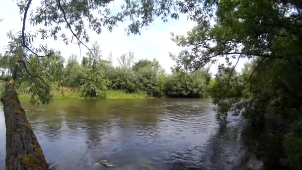 Zbroetsj rivier Podilski, Tovtry Khmelnytskyi Oekraïne — Stockvideo