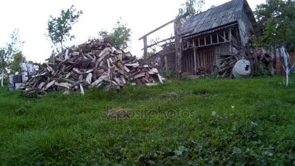 Czarny pies biegnąc na podwórzu domu. Ukraina, Podilla Chmielnicki — Wideo stockowe