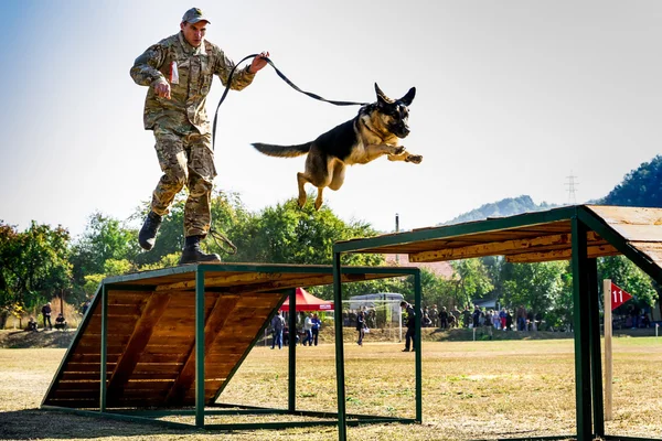 Перший Чемпіонат національної поліції України з обробників багатоборстві собака — стокове фото