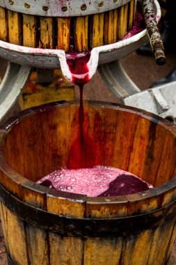 Etnofestival Bobovischanske Grono-2016, Zakarpattya bölgesinde