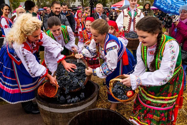 Etnofestival Bobovischanske Grono-2016 în regiunea Zakarpattya — Fotografie, imagine de stoc