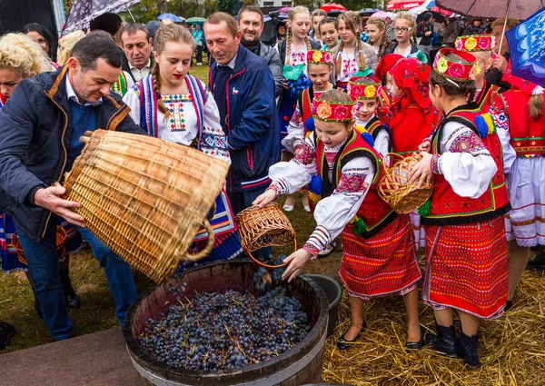 Etnofestival Bobovischanske Grono-2016 dans la région de Zakarpattya — Photo