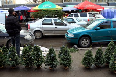 Pazar Uzhgorod Noel ağaçları