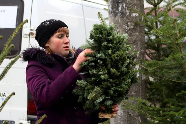 Uzhgorod에서 크리스마스 나무의 시장 — 스톡 사진