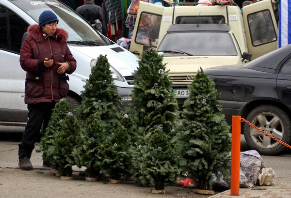Рынок елок в Ужгороде — стоковое фото
