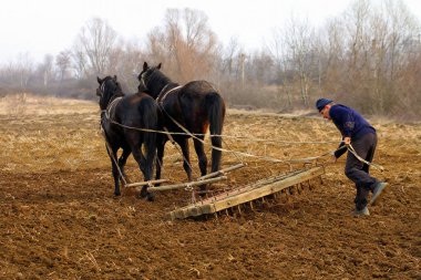 Transcarpathia kırsal alanlarda bahar saha çalışması