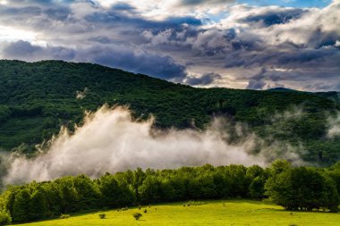 Bahar Karpatlar sabah sis