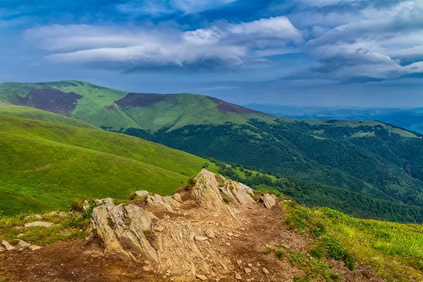 Sunny summer morning on the Borzhava ridge in the Carpathians — Stock Photo, Image