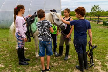 Ukrayna binicilik kampında yaz çocuk dinlenme