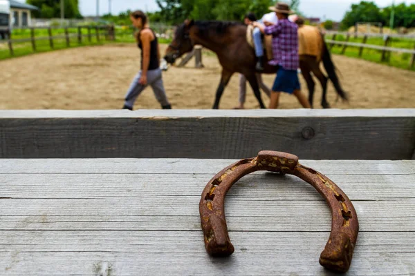 Rest in the summer children's equestrian camp in Ukraine — Stock Photo, Image